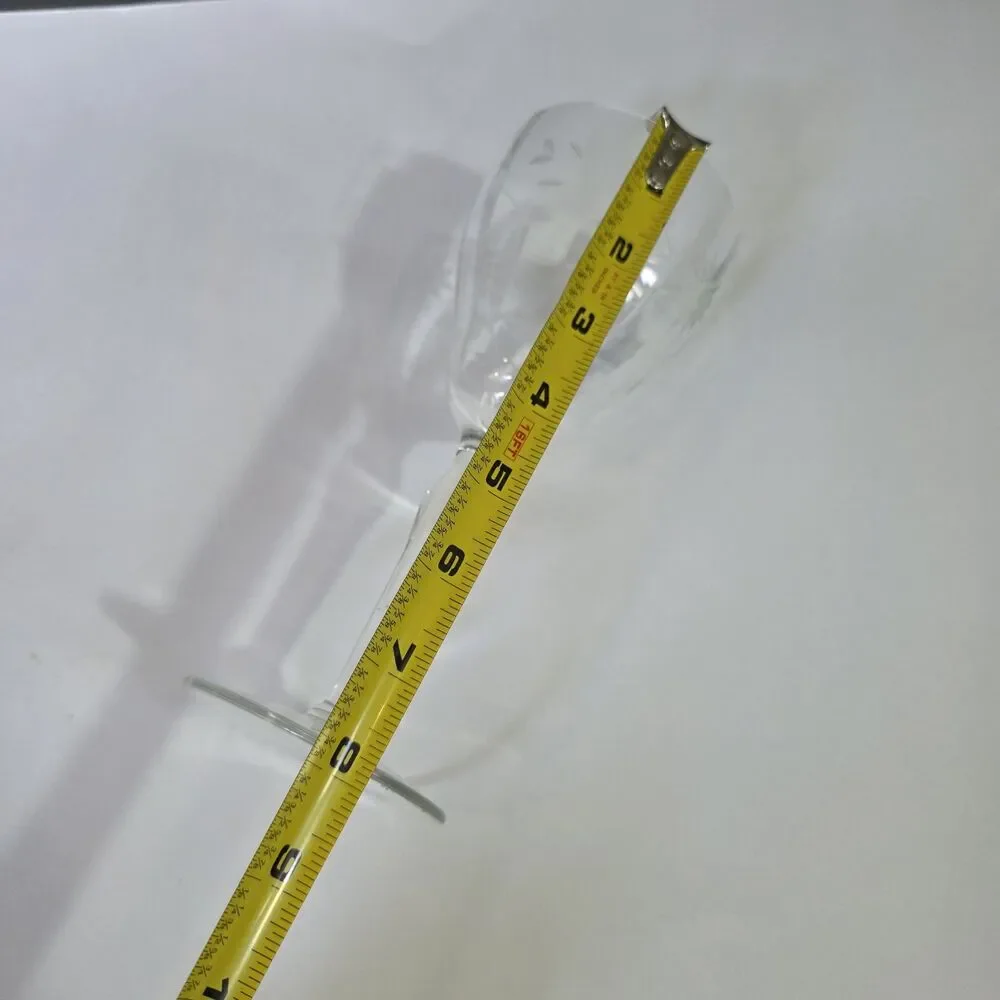 Crystal Etched Water Goblets Set Of 2